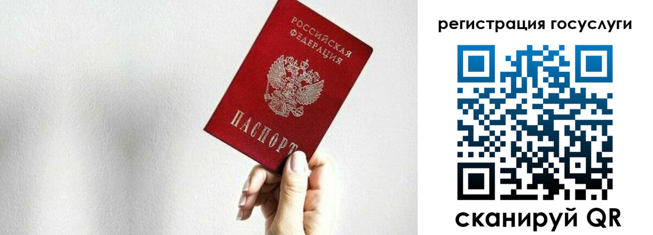прописка гарантия в Нижнем Новгороде