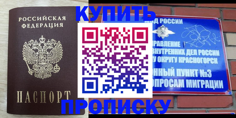 прописка гарантия в Нижнем Новгороде